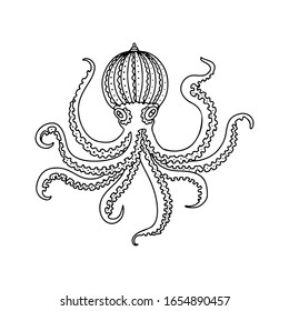 Hand drawn octopus doodle decorative black  vector illustration isolated on white background. Sea animal sketch.  Design for child  coloring book, page, banner, print, t-shirt, card, flyer