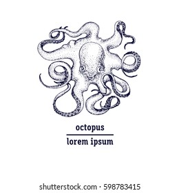 Hand drawn octopus illustration. Vector retro logo