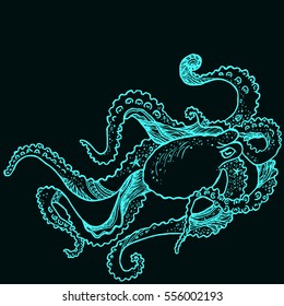 Hand drawn octopus isolated on black background. Design element. Vector.