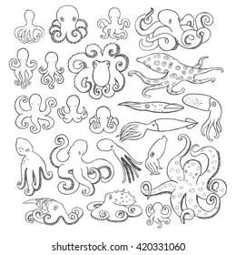 Hand drawn octopus set. 