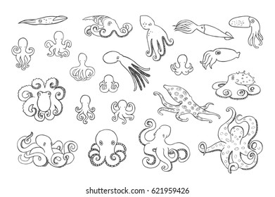 Hand drawn octopus set. 