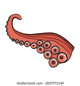Tentativa de pulpo dibujada a mano sobre un fondo blanco.