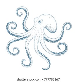 Hand Drawn Octopus Vector Illustration Stock Vector (Royalty Free ...