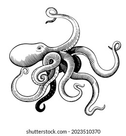 Hand drawn octopus in woodcut engraving vintage style isolated on white background.