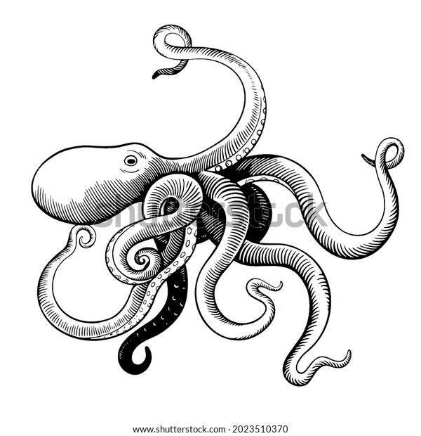 Hand Drawn Octopus Woodcut Engraving Vintage Stock Vector (Royalty Free ...