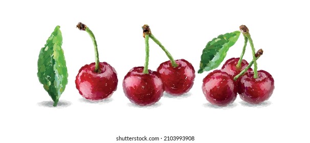 Hand drawn oil painting cherries on white background. Vector illustration.