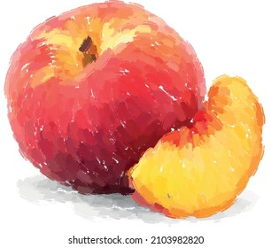 Hand drawn oil painting peach on white background. Vector illustration.