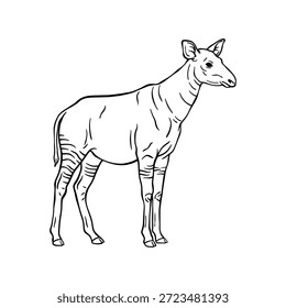 Ilustração de arte de linha Okapi desenhada à mão, Vetor de esboço animal preto e branco	
