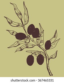 hand drawn olive branch