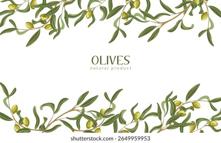Moldura de borda de ramo de azeitona desenhada à mão. Ilustração botânica vetorial com folhas e galhos em branco. Perfeito para embalagem, design de menu, etiquetas cosméticas, branding e artigos de papelaria de casamento