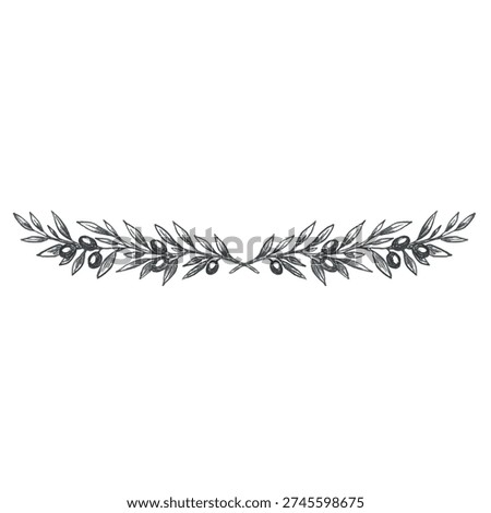 Hand drawn olive branch border in vintage engraving style. Black and white vector decorative divider isolated on white background for olive oil labels, packaging, branding design
