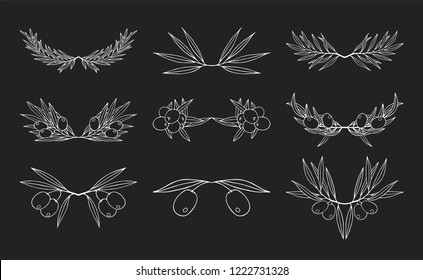 Hand drawn olive branch dividers set. Leave border. Botanical frame for extra virgin oil label. Vector isolated illustration.