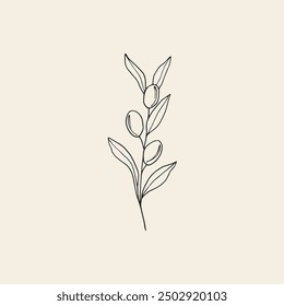 Hand drawn olive branch illustration