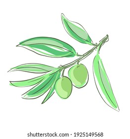 Hand drawn olive branch. illustrations isolated on the white backgroung. Floral design. Invitations greeting cards blogs logos prints.