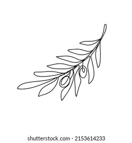 Hand drawn olive branch isolated on white background. Outline olive tree branch for menu, logo, greeting cards, patterns, web. Line art, one line doodle olive branch.