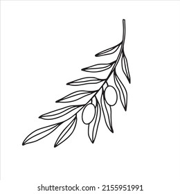 20,394 Olive Branch Silhouette Images, Stock Photos & Vectors ...