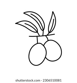 Hand drawn olive branch isolated on white background.