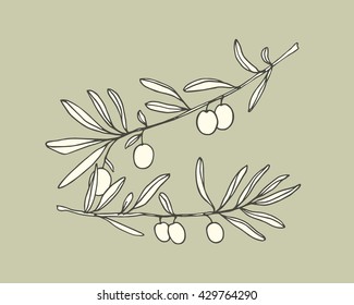 Hand Drawn Olive Branch Made In Vector. Beautiful Ink Drawing. 