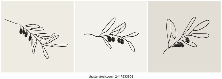 Hand drawn olive branch in minimalist ink brush charcoal style. Decorative vector elements for tattoo, greeting card, wedding invitation. Black silhouette outline olive isolated on white.