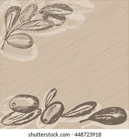 Hand drawn olive branch on vintage background. Sketch style background. Vector illustration.