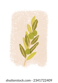 Árbol de rama de olivo dibujado a mano sobre fondo de grano. Ilustración del vector