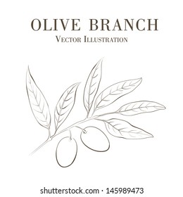 Hand drawn olive branch. Vector illustration.
