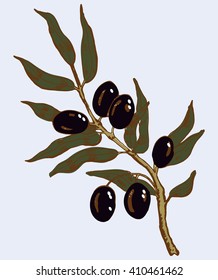 hand drawn olive branch vector illustration