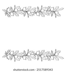 Projeto de vetor de fundo de ramos de azeitona desenhados à mão.