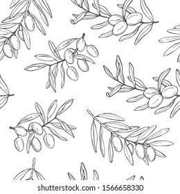 Hand drawn olive. Branches with fruits.Vector  seamless pattern.