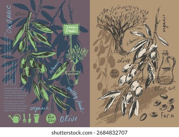 Hand drawn olive branches with leaves and berries ink sketches. Olive tree, bottle, olives. For food and drink background, olive oil labels and packaging.