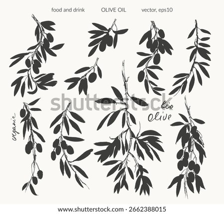 Hand drawn olive branches with leaves and berries ink silhouettes. For food and drink background, olive oil labels and packaging.