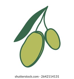 Hand drawn olive in doodle style. Mediterranean summer fruit. Coastal element for italian menu, wedding, print, invitation. Ink sketch design of Amalfi beach. Flat tropical minimalist vector illustrat