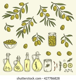 Hand drawn olive graphic set. Collection of olive branches. Bottles and jars with olive oil. Olives in bowl. Design elements for olive oil labels. Vector vintage illustration.