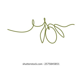 hand drawn olive oil lineart vector illustration on transparent background