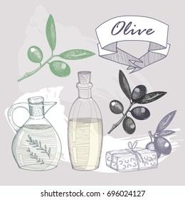 Hand drawn olive products. Colored graphic vector set. All elements are isolated