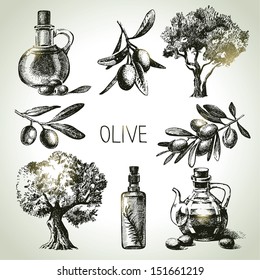 Hand drawn olive set 