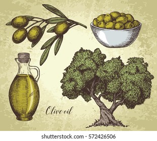 Hand drawn olive set
