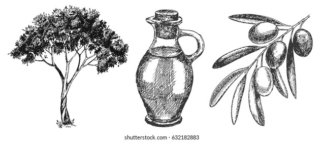 Hand drawn olive set isolated on white background. Olive tree, brach, olive fruit and doodle with olive oil