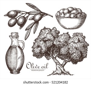
Hand drawn olive set. Vector illustration of olive and olive oil for menu design and cafe decorations.