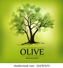 Hand drawn olive tree illustration with watercolor