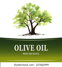 Hand drawn olive tree illustration with watercolor