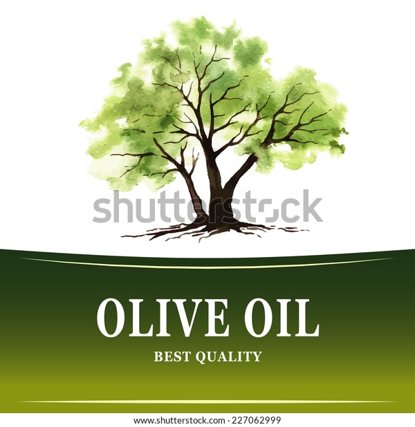 Hand Drawn Olive Tree Illustration Watercolor Stock Vector Royalty Free Shutterstock