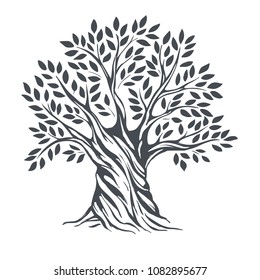 Hand drawn olive tree. Vector sketch illustration