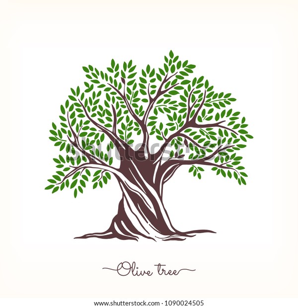Hand Drawn Olive Tree Vector Sketch Stock Vector (Royalty Free) 1090024505