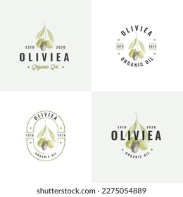 Hand drawn olive vintage badge logo collection
