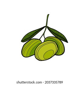 La mano dibujó aceitunas en un fondo blanco.