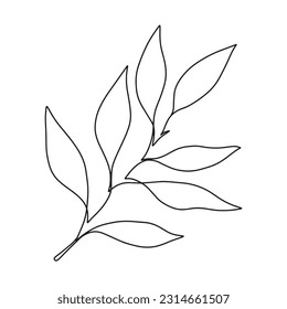 Hand drawn one line branch with leaves. Lemon branch. Line art.