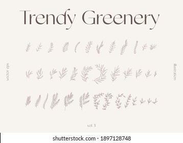 Hand Drawn One Line Floral Elements, Trendy Greenery, Botanical Drawings. Collection Of Decorative Branches. Vector Illustration, Sketch