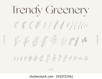 Hand drawn one line floral elements, trendy greenery, botanical drawings. Collection of decorative branches. Vector illustration, sketch