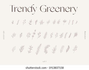 Hand Drawn One Line Floral Elements, Trendy Greenery, Botanical Drawings. Collection Of Decorative Branches. Vector Illustration, Sketch